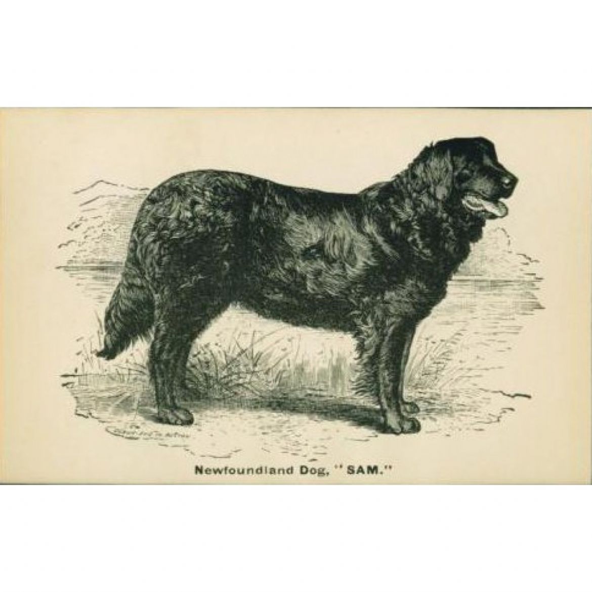 R Sam (02-05-1882)